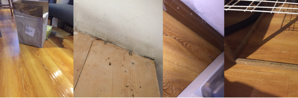 Wet floor, moldy and wet walls and mold on wooden table